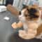 MusclePaw Funny Cat Arm Pendant Necklace Costume Accessory 3
