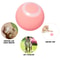 RolliPaws Interactive Rolling Ball Smart Cat Toy 1