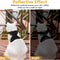 SecurePaws Escape Proof Cat Harness And Leash Set 5
