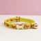 PurrSafe Personalized Cat Collar And Leash Set With Engraved ID Tag 24