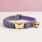 PurrSafe Personalized Cat Collar And Leash Set With Engraved ID Tag 29