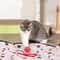 HideNHunt Interactive Hunting Cover Smart Ball Pet Toy 4