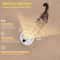 PureFlow Rechargeable Smart Cat Water Fountain 3