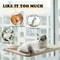 SkyNest Window Cat Hammock Bed 4
