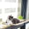 SkyNest Window Cat Hammock Bed 5