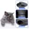 FeltNest Interactive Cat Tunnel Bed And Scratcher 3
