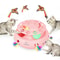 WhackFlutter 4 In 1 Interactive Cat Toy Center 0