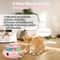 WhackFlutter 4 In 1 Interactive Cat Toy Center 2