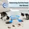 SmartServe 6L Automatic Pet Feeder With App Control 3