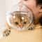 SafeShield Cat Grooming Protection Helmet 1