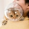 SafeShield Cat Grooming Protection Helmet 1