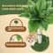 Tall Sisal Cat Scratching Post With Interactive Ball Toys 1