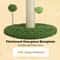 Tall Sisal Cat Scratching Post With Interactive Ball Toys 3