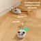 Automatic Squeaky Mouse Cat Toy With USB Rechargeable Smart Movement 2