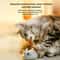 Automatic Squeaky Mouse Cat Toy With USB Rechargeable Smart Movement 4