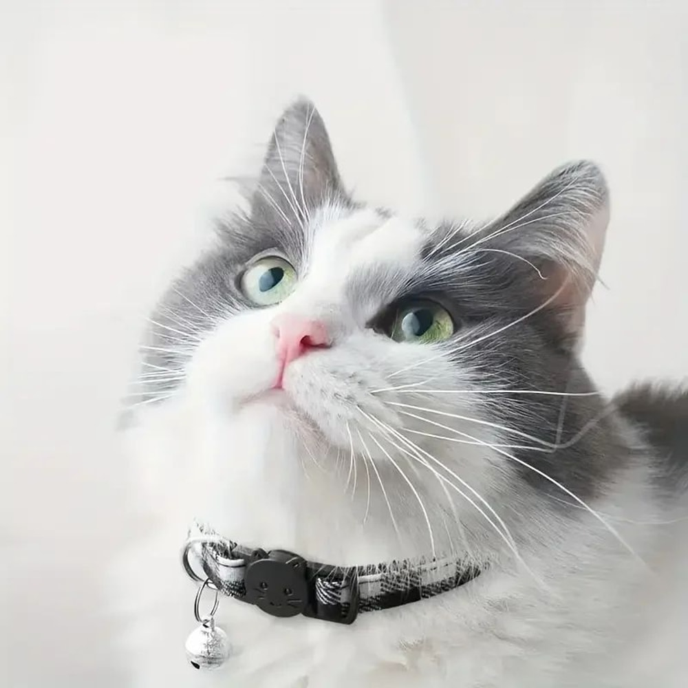 Personalized Plaid Breakaway Cat Collar With Bell And ID Tag 4