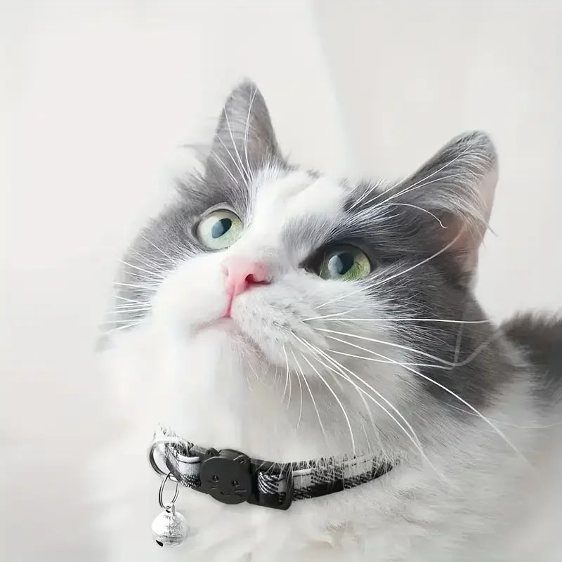 Personalized Plaid Breakaway Cat Collar With Bell And ID Tag 4