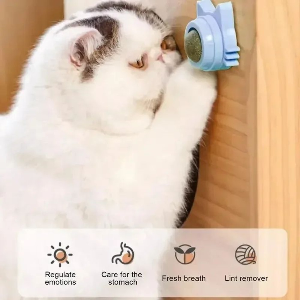 Catnip Wall Ball Toy 2