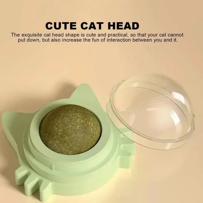 Catnip Wall Ball Toy 4