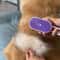 Rainbow Mist Pet Grooming Brush Electric Spray Deshedding Comb For Cats And Dogs 7