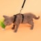 SafetyFit Escape Proof Pet Harness And Leash Set For Cats And Small Dogs 2