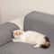 ScratchGuard Large Cat Scratching Mat And Furniture Protector 5