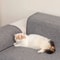 ScratchGuard Large Cat Scratching Mat And Furniture Protector 5