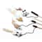 Feather Chase Interactive Cat Wand Toy 5
