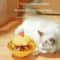 Chicken Chase Interactive Slow Feeder Puzzle Toy 0