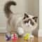 PuzzlePaws Interactive Slow Feeder Treat Ball 5
