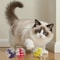PuzzlePaws Interactive Slow Feeder Treat Ball 5