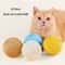 Interactive Sisal Cat Scratching Ball Toy For Kittens 3
