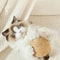 Interactive Sisal Cat Scratching Ball Toy For Kittens 4