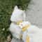 BloomPaw Floral Pet Harness And Leash Set For Cats And Small Dogs 9