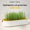GreenSprout Hydroponic Cat Grass Growing Kit 0