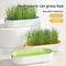 GreenSprout Hydroponic Cat Grass Growing Kit 3