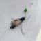 BugBounce Interactive Cat Wand Refill Toy Set 2
