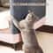 ClimbGuard Self Adhesive Cat Scratching Wall Mat 3