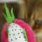 Dragon Fruit Catnip Plush Chew Toy Interactive Teeth Cleaning Cat Toy 3