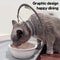 Soft Recovery Collar For Cats And Small Dogs 1