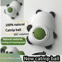 natural catnip wall ball toy for dental health and stress relief