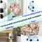 Natural Catnip Wall Ball Toy For Dental Health And Stress Relief 3