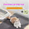Waterproof Double Layer Cat Litter Mat For Litter Tracking Control 0