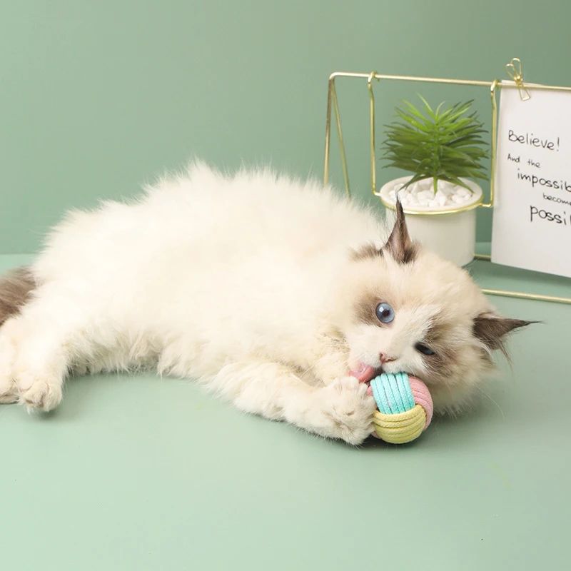PlayKnot Interactive Cat Rope Toy Ball 5