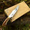 Razor D2 Steel Hunting Knife 1