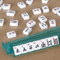 Premium American Mahjong Set With 166 Tiles 4 PushersRacks Portable Carry Bag 6