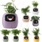 Ivy Smart Plant Pot With AI Sensors And 49 Facial Expressions For Easy Indoor Gardening 0