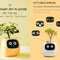 Ivy Smart Plant Pot With AI Sensors And 49 Facial Expressions For Easy Indoor Gardening 2