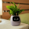 Ivy Smart Plant Pot With AI Sensors And 49 Facial Expressions For Easy Indoor Gardening 8