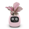 Ivy Smart Plant Pot With AI Sensors And 49 Facial Expressions For Easy Indoor Gardening 9